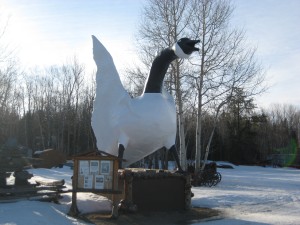 One big goose!